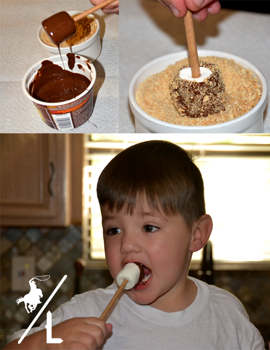 S’mores Pops