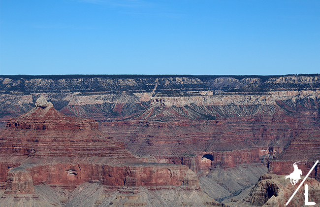 Visit the Grand Canyon in One Day