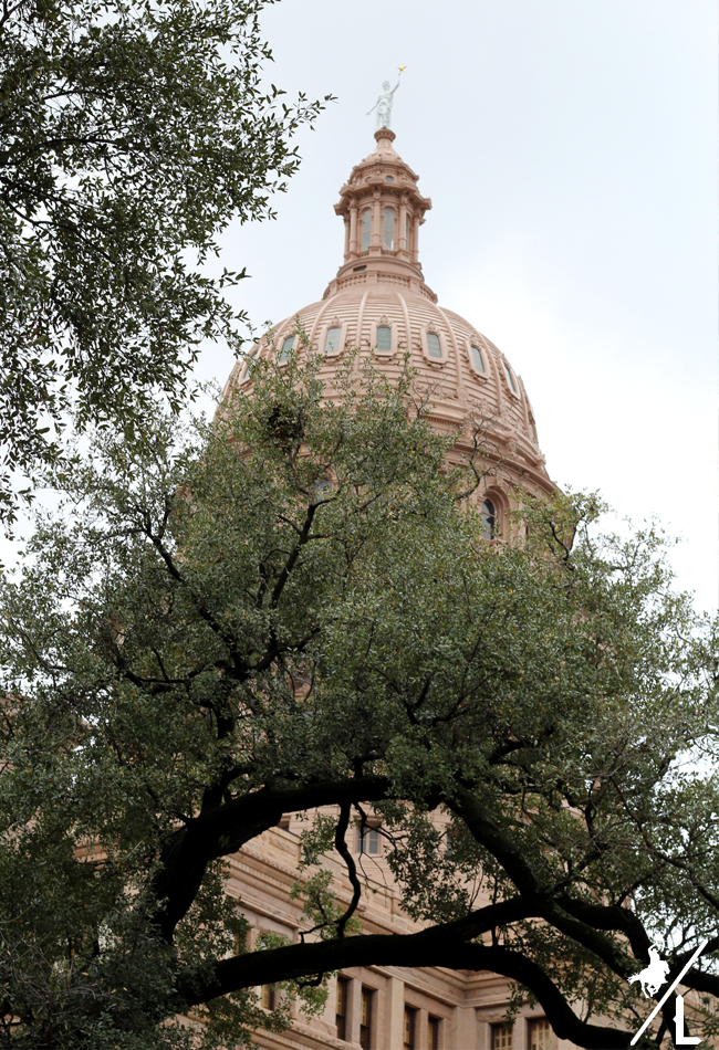 Visiting the Texas State Capitol