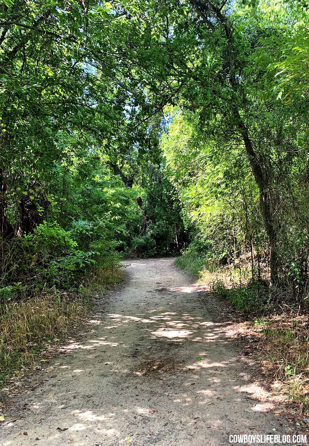 15+ Hiking Trails in Tulsa