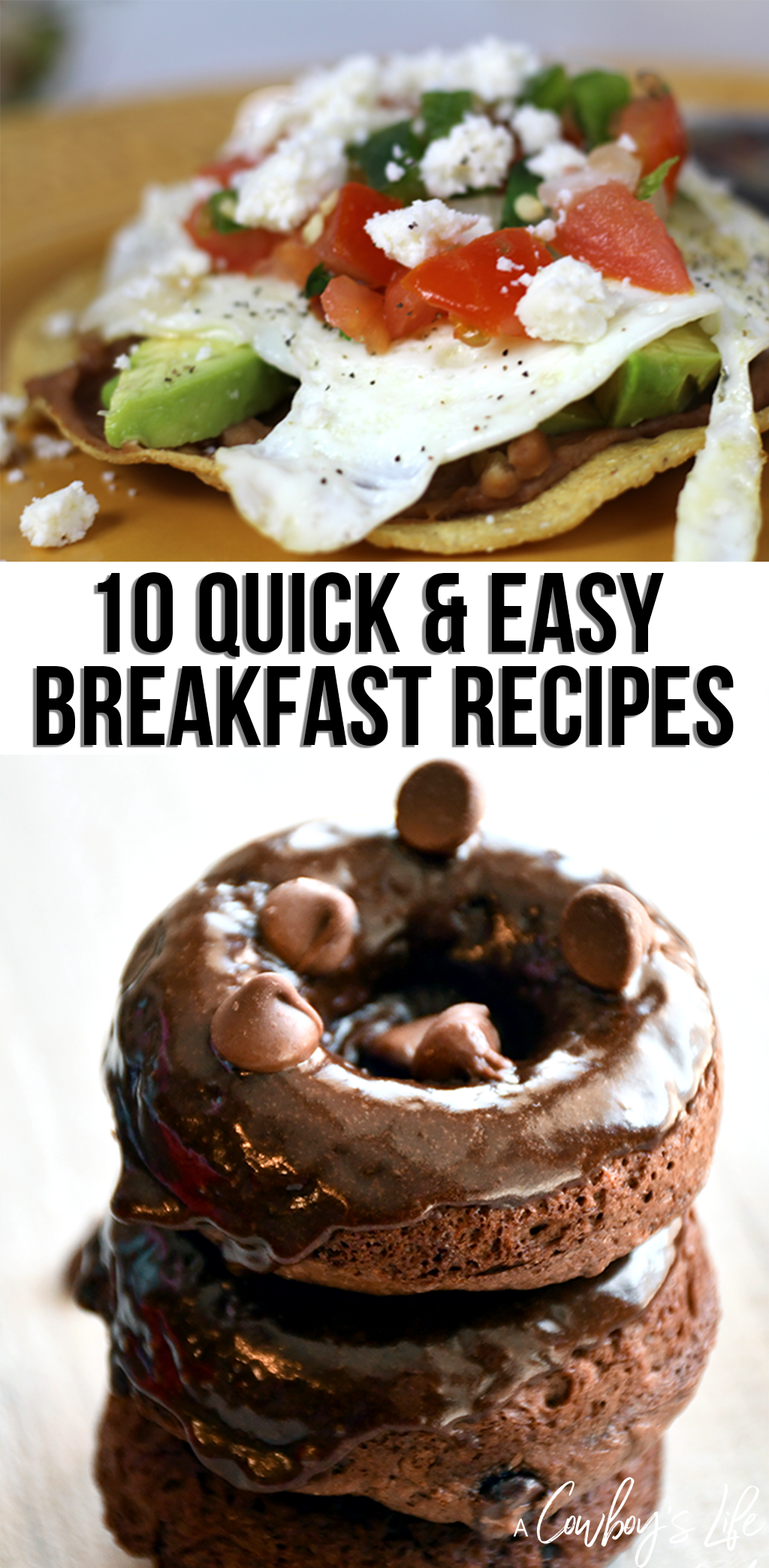 10 Quick Breakfast Recipes
