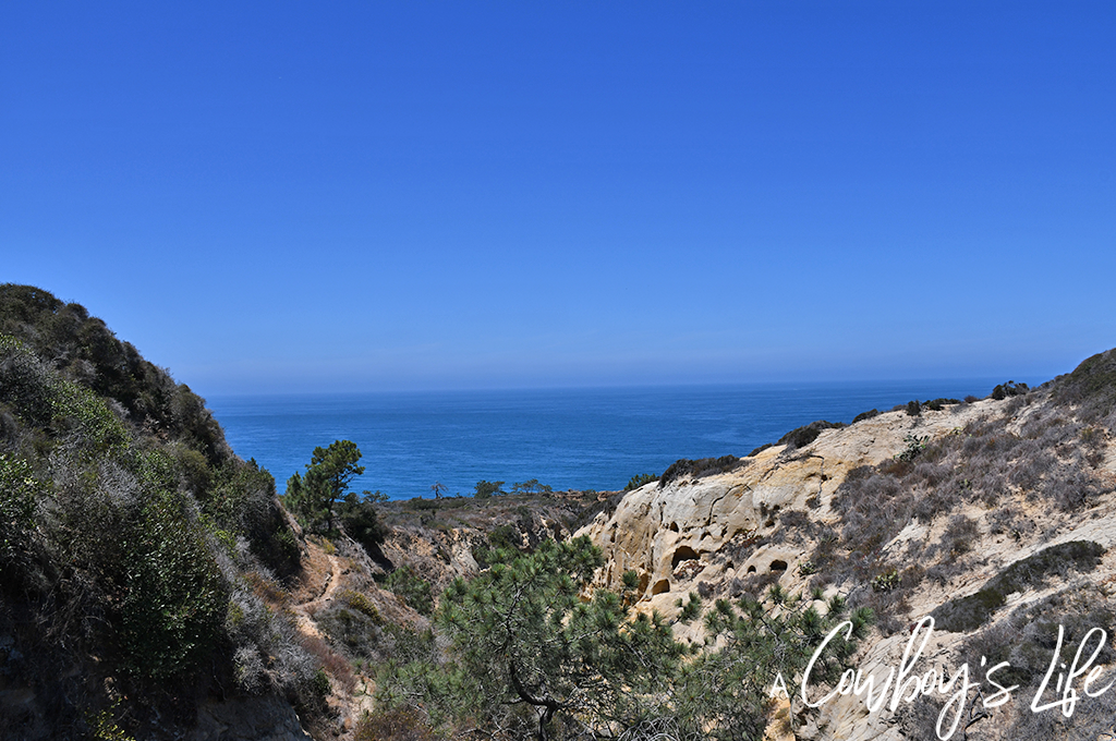 Hiking Torrey Pines