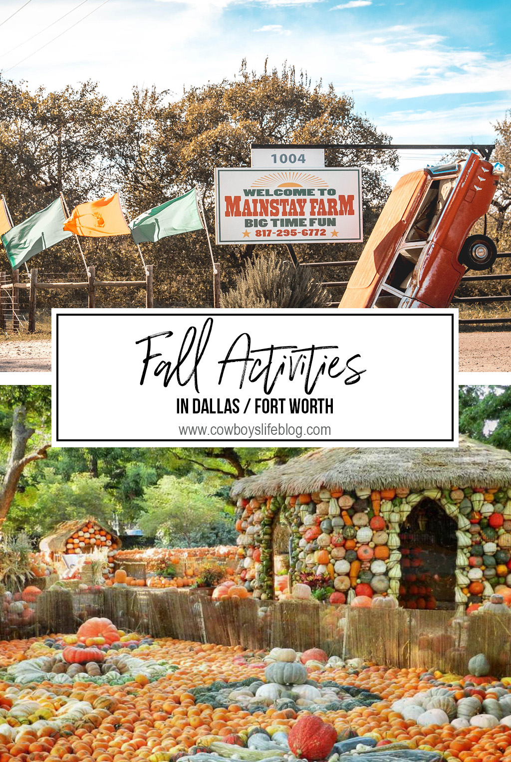 Fall activities in Dallas / Fort Worth