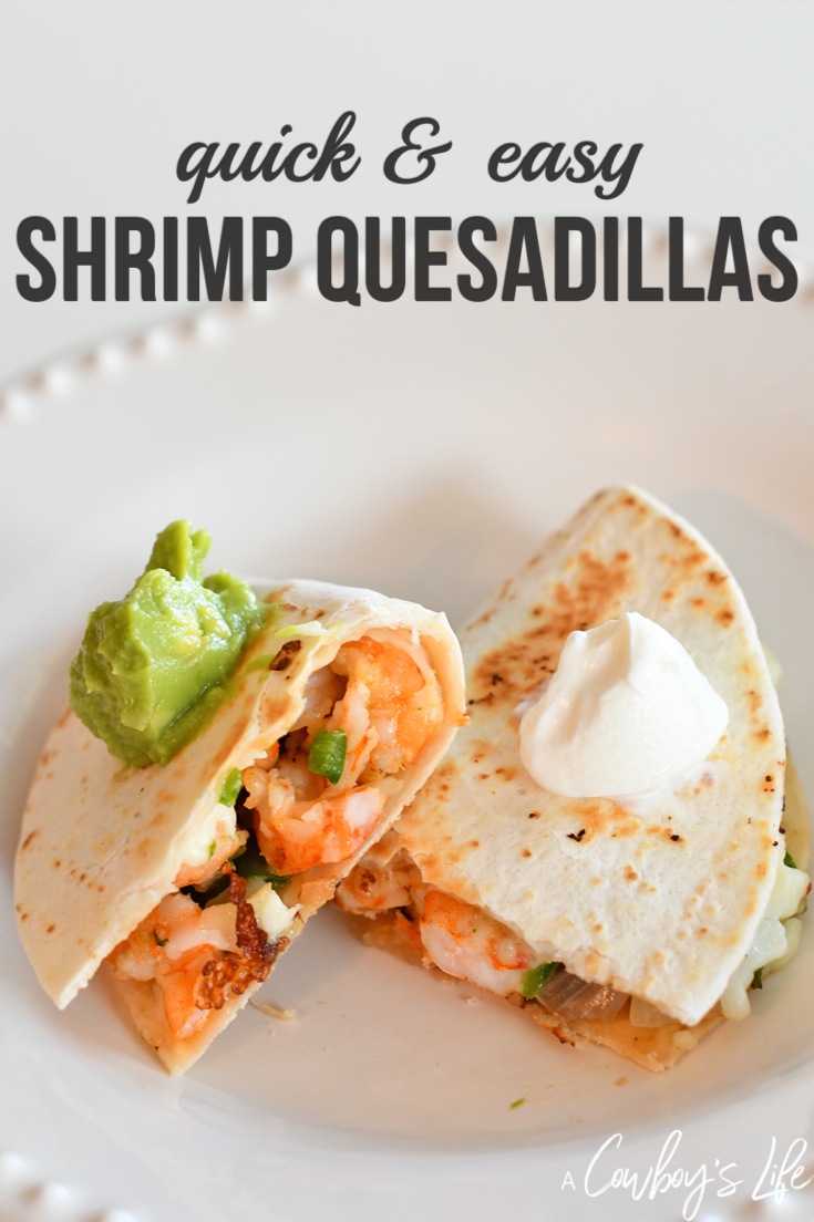 Shrimp Quesadilla Recipe