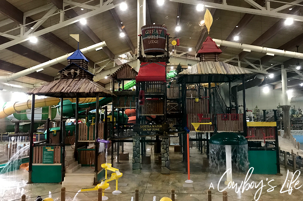 great wolf lodge grapevine which floor