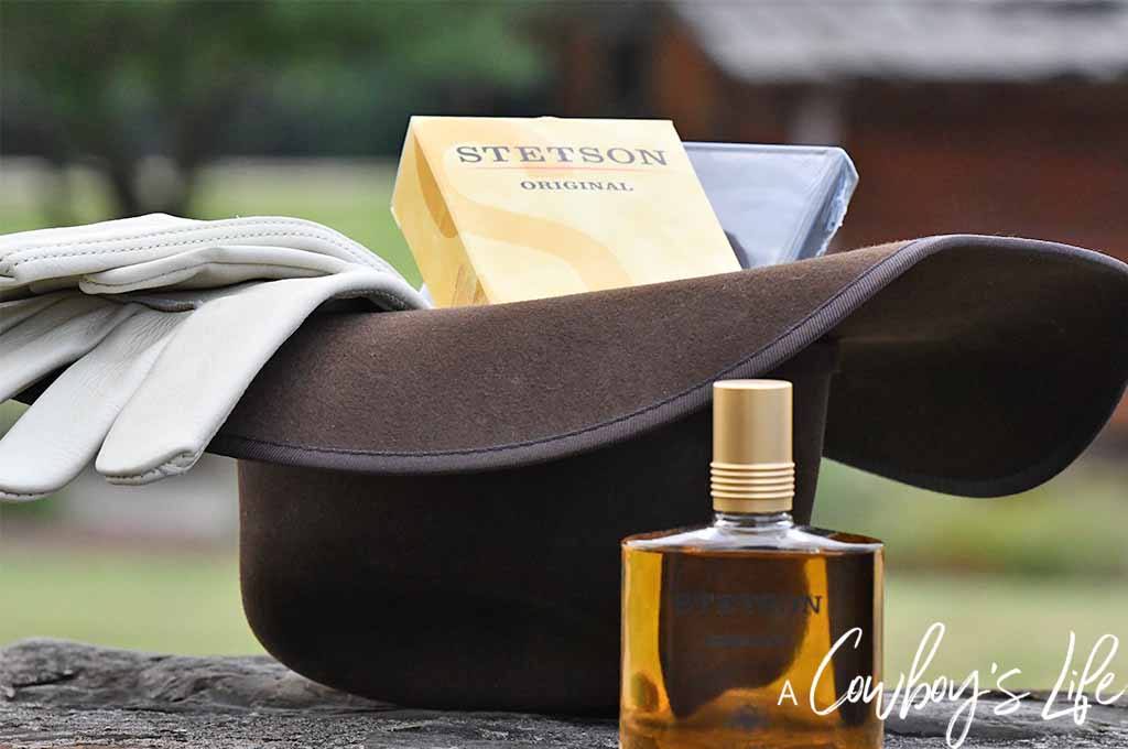 Best Father's Day Gifts For Cowboy Fans - Blogging The Boys