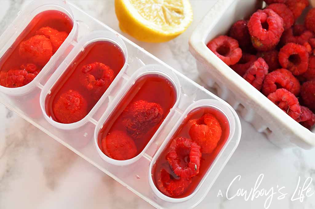 Raspberry Lemonade Frozen Pops | Homemade Popsicles | Frozen Desserts | Keto Popsicles #popsicles #ketopopsicles 