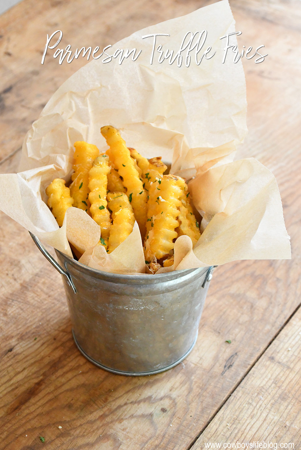 parmesan truffle fries