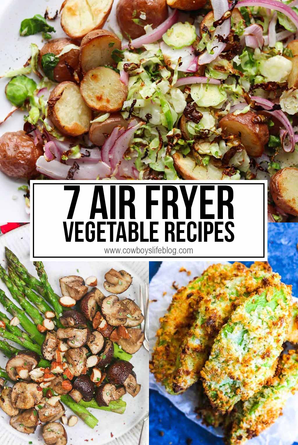 7 Vegetable Air Fryer Recipes