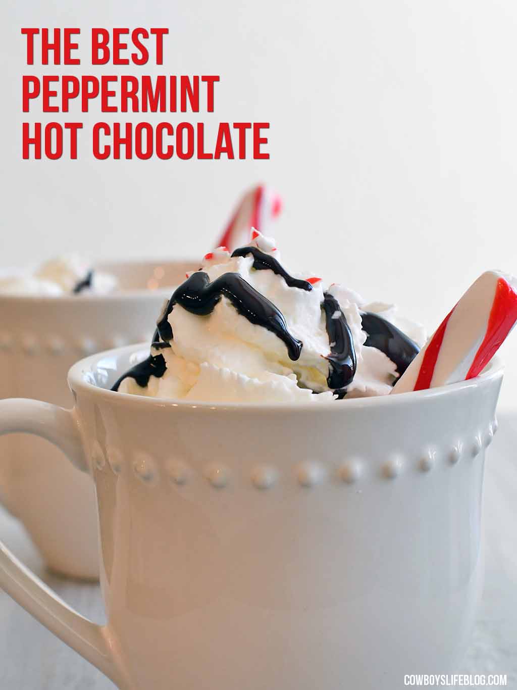 The Best Peppermint Hot Chocolate