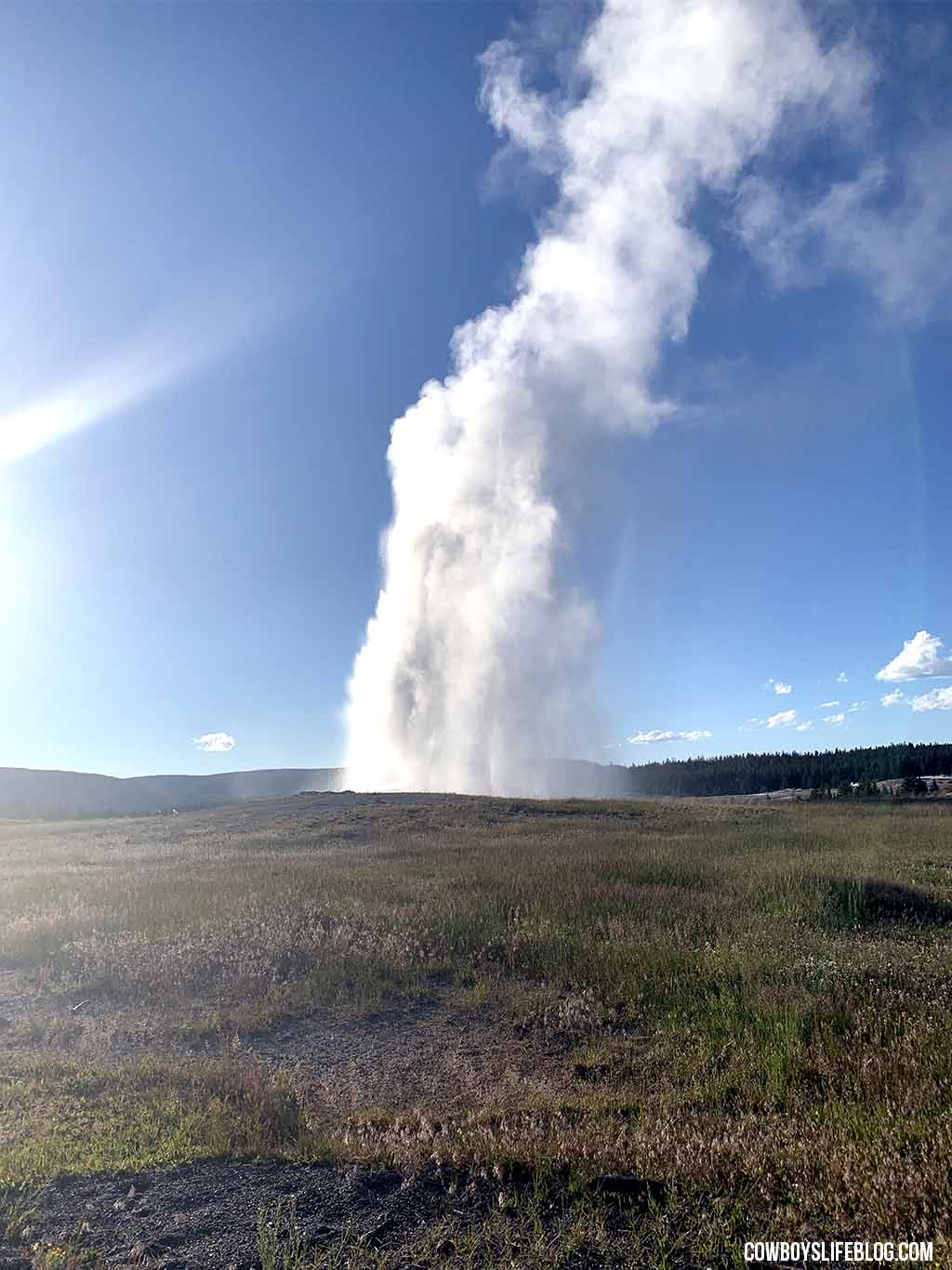 2 Day Itinerary for Yellowstone National Park