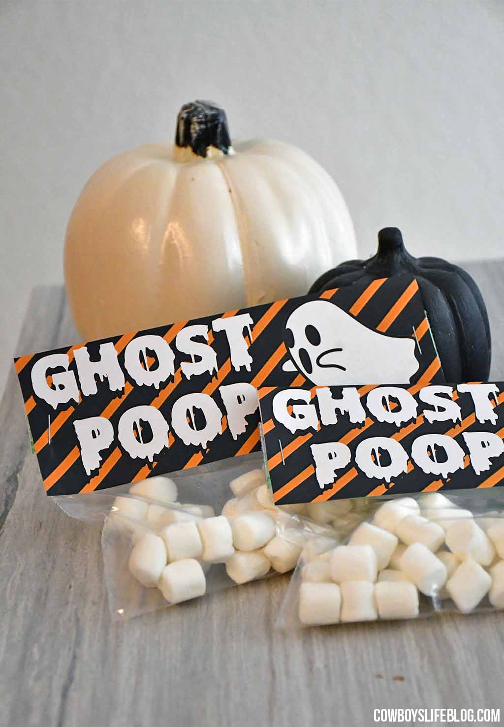 GHOST POOP TREAT BAG TOPPER WITH FREE PRINTABLE