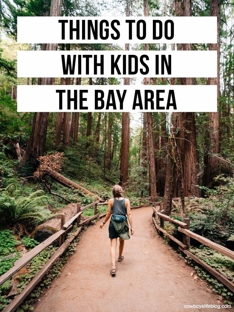 Fun Things to Do With Kids in the Bay Area - A Cowboys Life