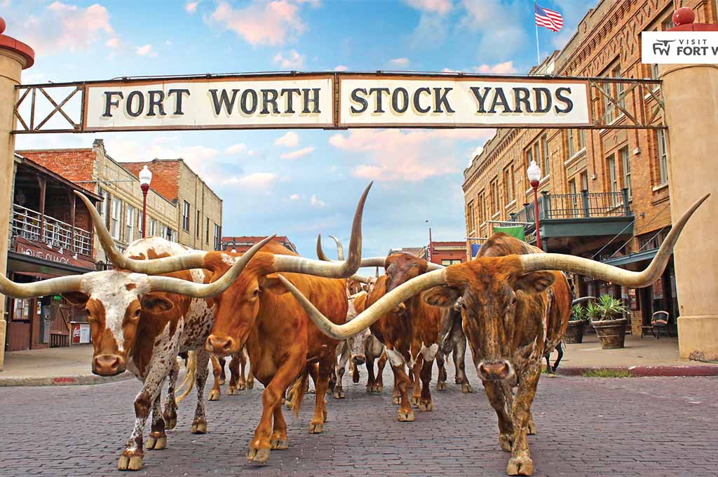 Fort Worth Stockyards Family Fun Round-Up