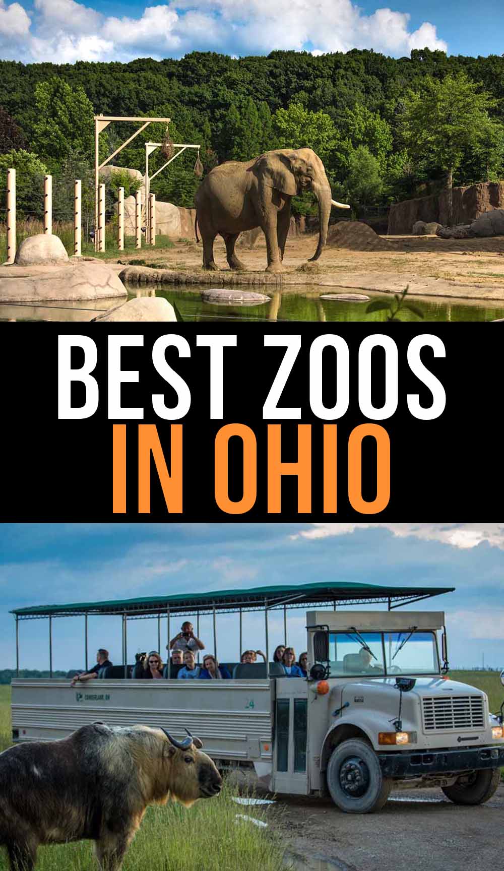 The Best Zoos in Ohio