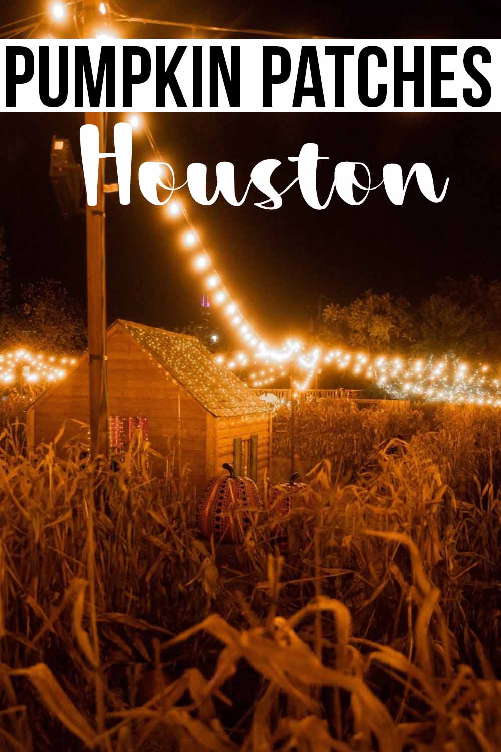 The Best Pumpkin Patches in Houston