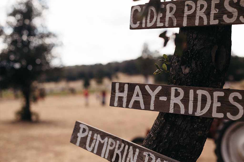 The Best Pumpkin Patches in Austin