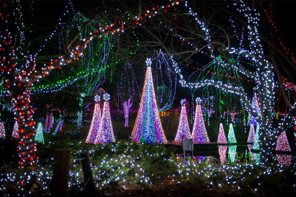 Best Christmas Light Displays In The South at Wendy Hopkins blog