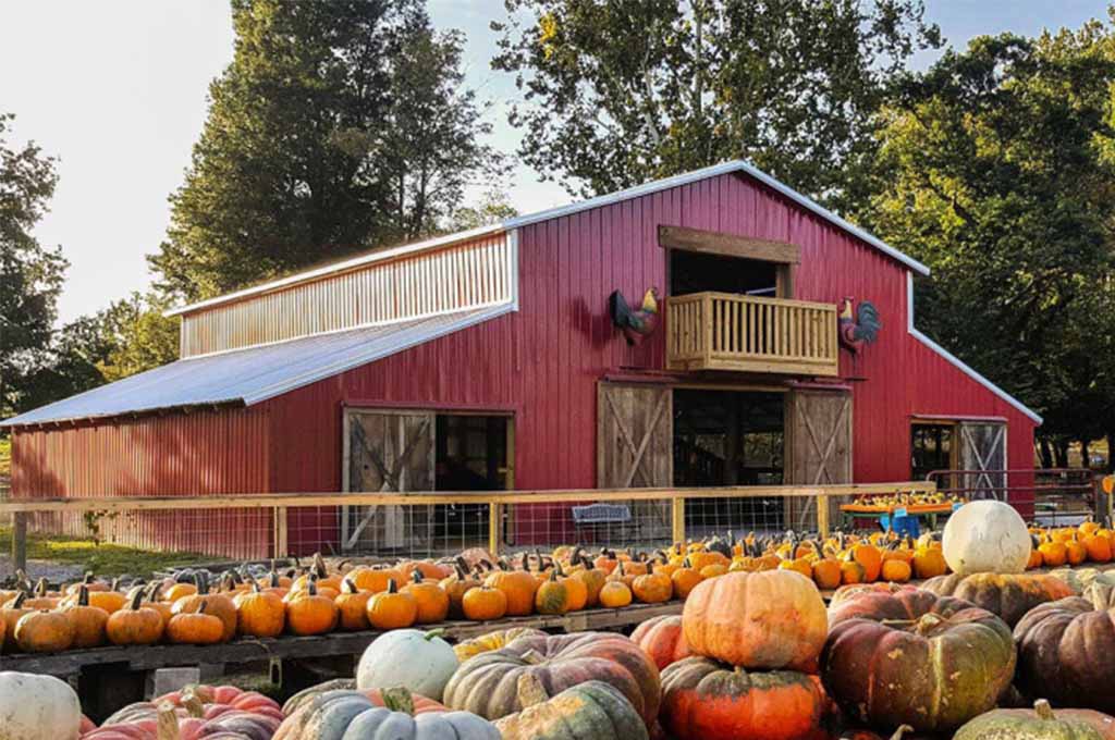 The Best Pumpkin Patches in Arkansas