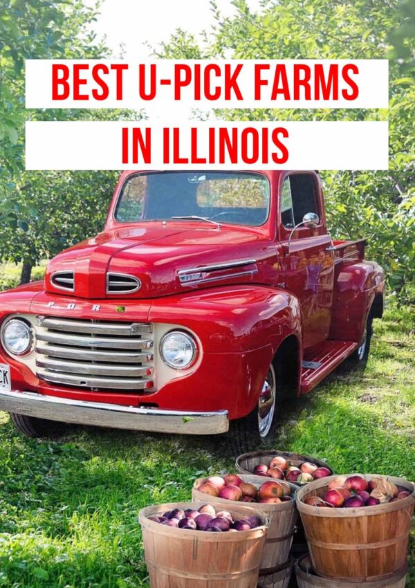 15+ Farms, Orchards & U-Picks in Illinois