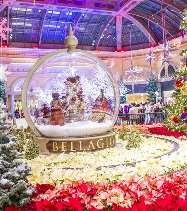 Holiday Time at the Bellagio Conservatory
