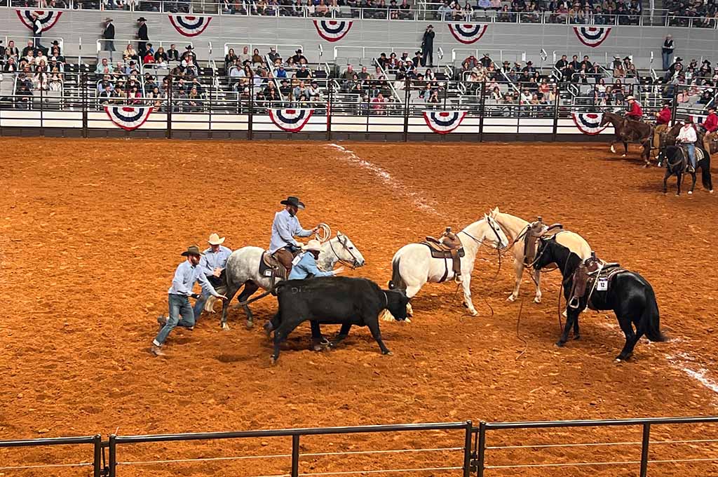 Guide to the Fort Worth Stock Show and Rodeo
