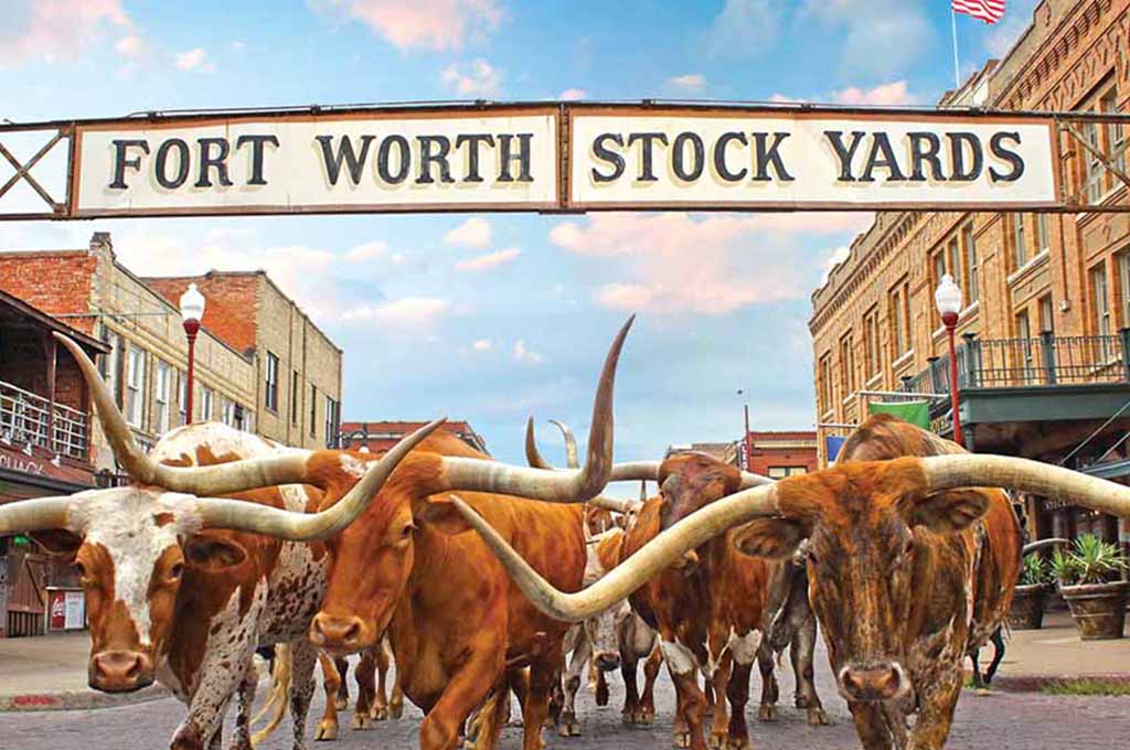 Top Things to Do in Fort Worth