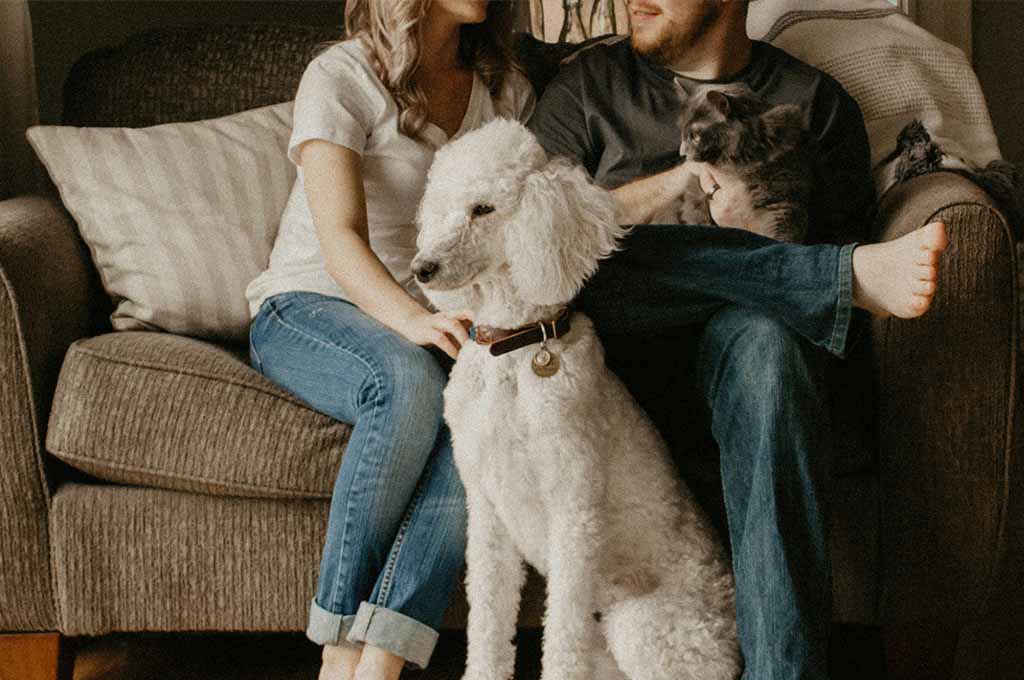 couple sitting on couch with a dog